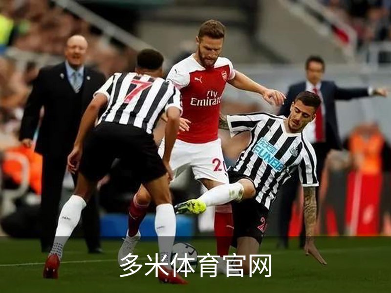 关于多米体育官网